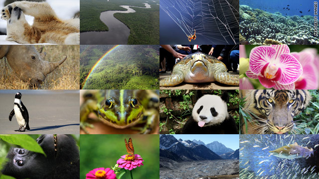 (c) AFP / Getty Images