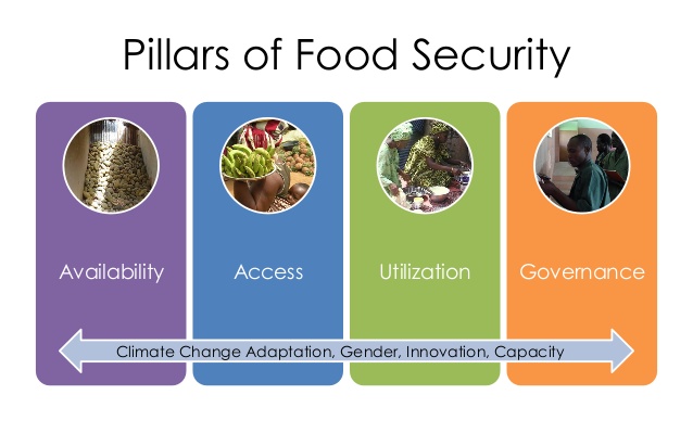 Food security 1